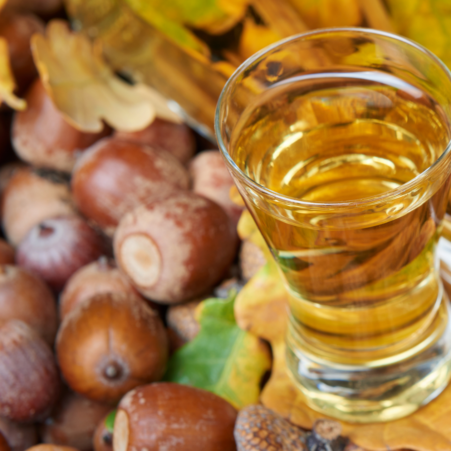 Licor artesanal de bolota meia.dúzia