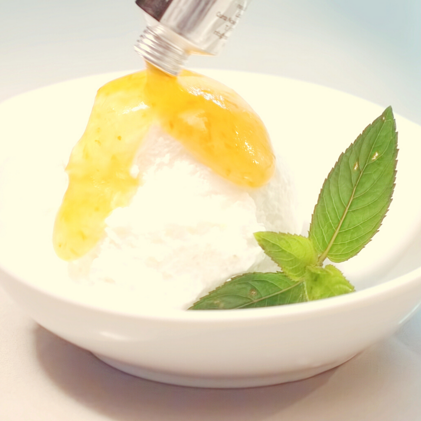 Gelado com cobertura de Compota de Maçã Bravo de Esmolfe meia.dúzia